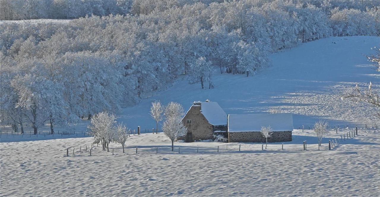 Aux Portes D'Aubrac Studio 2 Personnes Bed and Breakfast Condom-d'Aubrac Exteriör bild